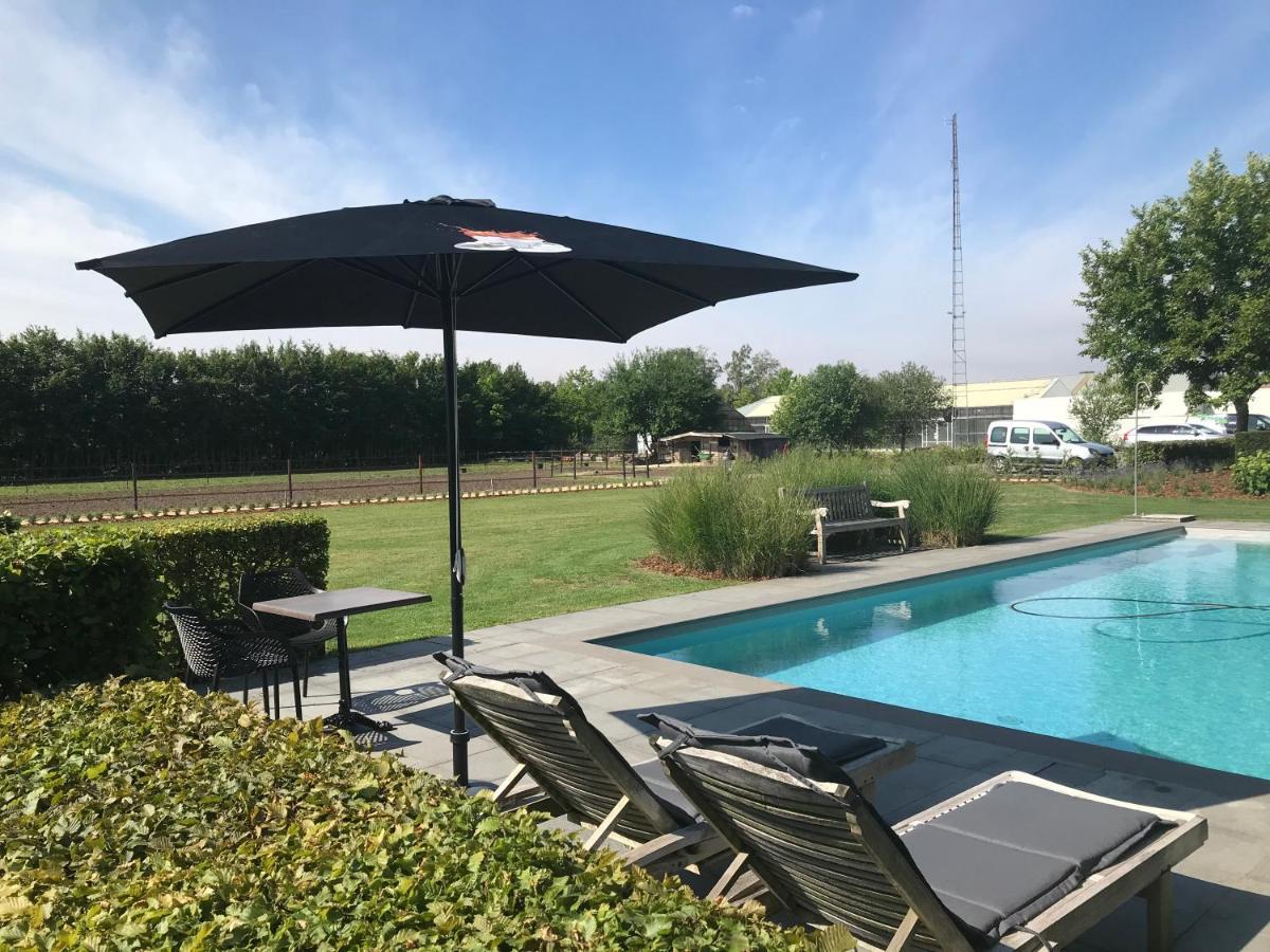 B&B Rosselaer Balen Exteriör bild